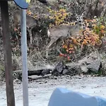 Chalé Pod Szczyrkiem Z Ogrodem Na Wylacznosc W Cenie Goraca Bania Szczyrk
