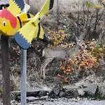 Pod Szczyrkiem Z Ogrodem Na Wylacznosc W Cenie Goraca Bania