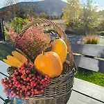 Pod Szczyrkiem Z Ogrodem Na Wylacznosc W Cenie Goraca Bania Chalé *