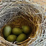 Alpstuga Pod Szczyrkiem Z Ogrodem Na Wylacznosc W Cenie Goraca Bania *