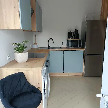 Pod Szczyrkiem Z Ogrodem Na Wylacznosc W Cenie Goraca Bania * Szczyrk