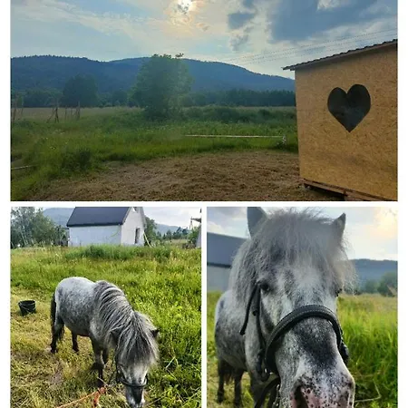 Pod Szczyrkiem Z Ogrodem Na Wylacznosc W Cenie Goraca Bania Chalet