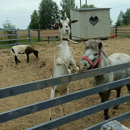 Pod Szczyrkiem Z Ogrodem Na Wylacznosc W Cenie Goraca Bania *