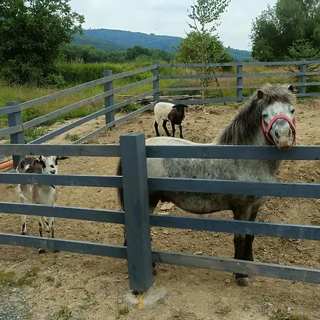 Pod Szczyrkiem Z Ogrodem Na Wylacznosc Basen Goraca Bania * Szczyrk