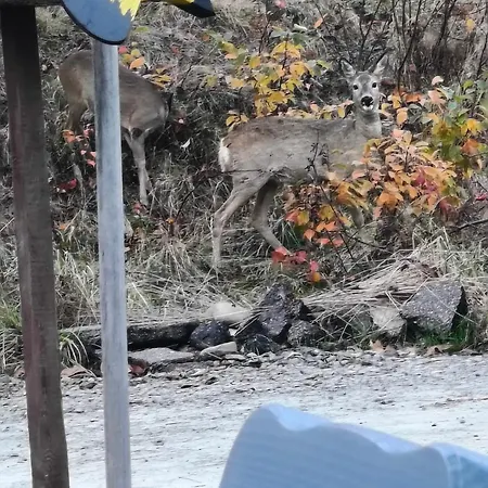 샬레 Pod Szczyrkiem Z Ogrodem Na Wylacznosc W Cenie Goraca Bania 슈차이르크