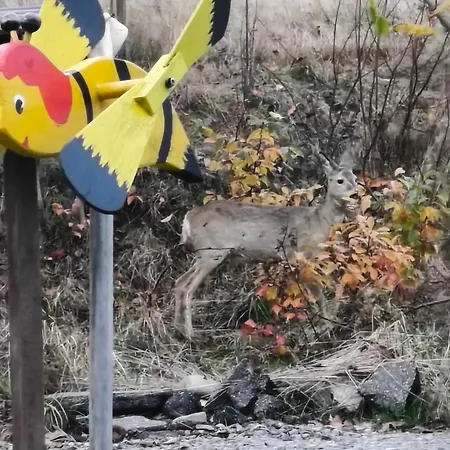 Pod Szczyrkiem Z Ogrodem Na Wylacznosc Basen Goraca Bania