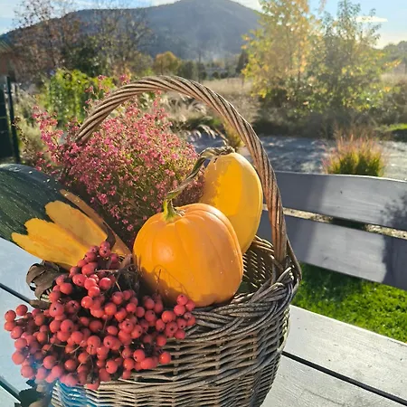 Pod Szczyrkiem Z Ogrodem Na Wylacznosc Basen Goraca Bania Σαλέ *