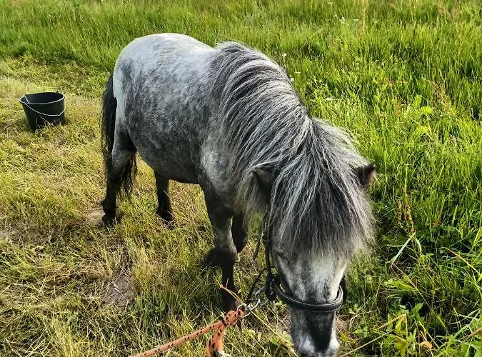 Horská chata Pod Szczyrkiem Z Ogrodem Na Wylacznosc W Cenie Goraca Bania Szczyrk
