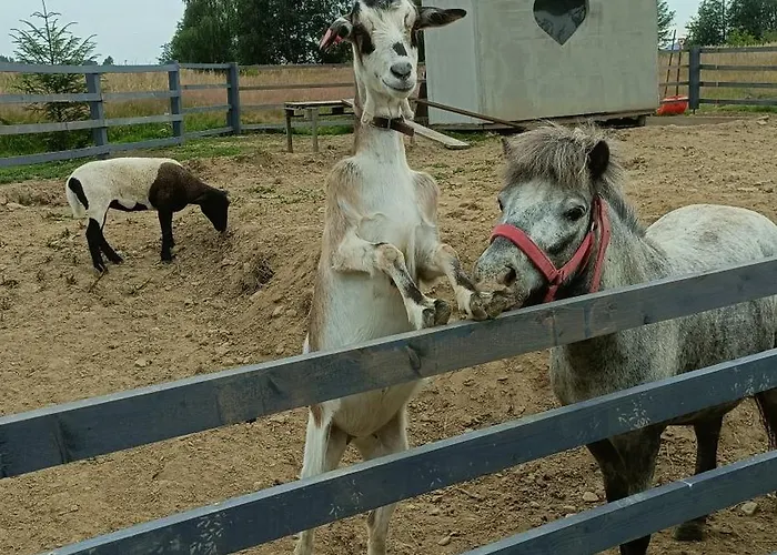 Pod Szczyrkiem Z Ogrodem Na Wylacznosc W Cenie Goraca Bania *