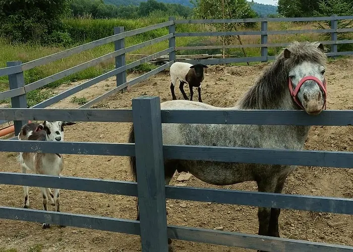 Pod Szczyrkiem Z Ogrodem Na Wylacznosc W Cenie Goraca Bania * Szczyrk