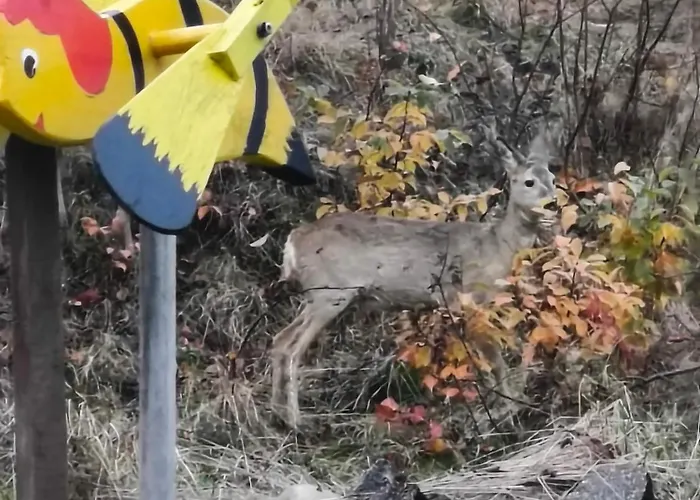 Pod Szczyrkiem Z Ogrodem Na Wylacznosc W Cenie Goraca Bania