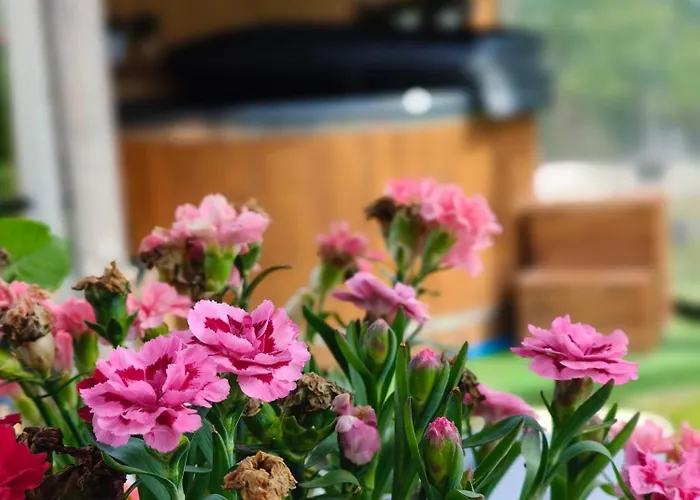 Pod Szczyrkiem Z Ogrodem Na Wylacznosc W Cenie Goraca Bania *